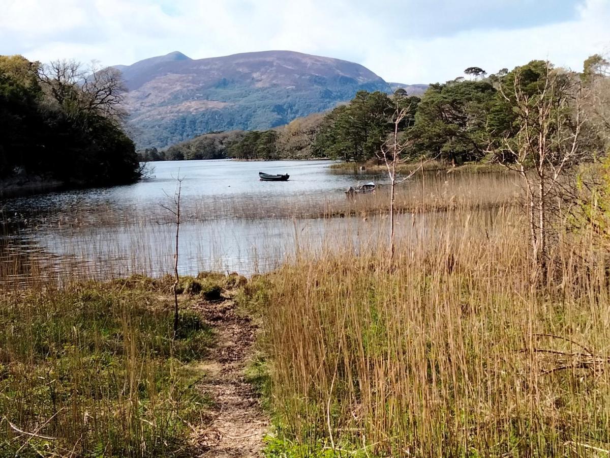 Larkfield House B&B, Ballycasheen Kerry V93 Wd51 Killarney Extérieur photo