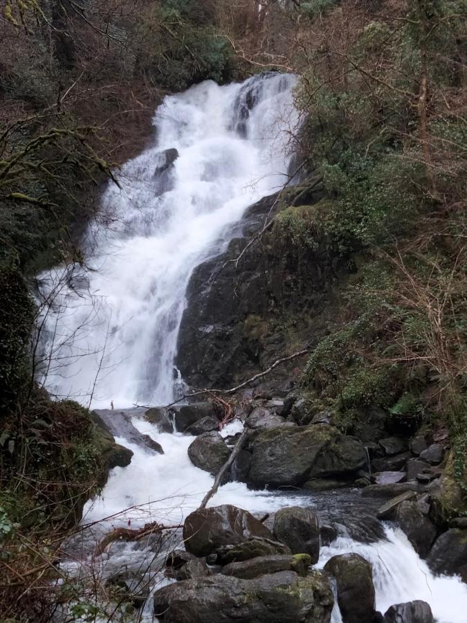 Larkfield House B&B, Ballycasheen Kerry V93 Wd51 Killarney Extérieur photo