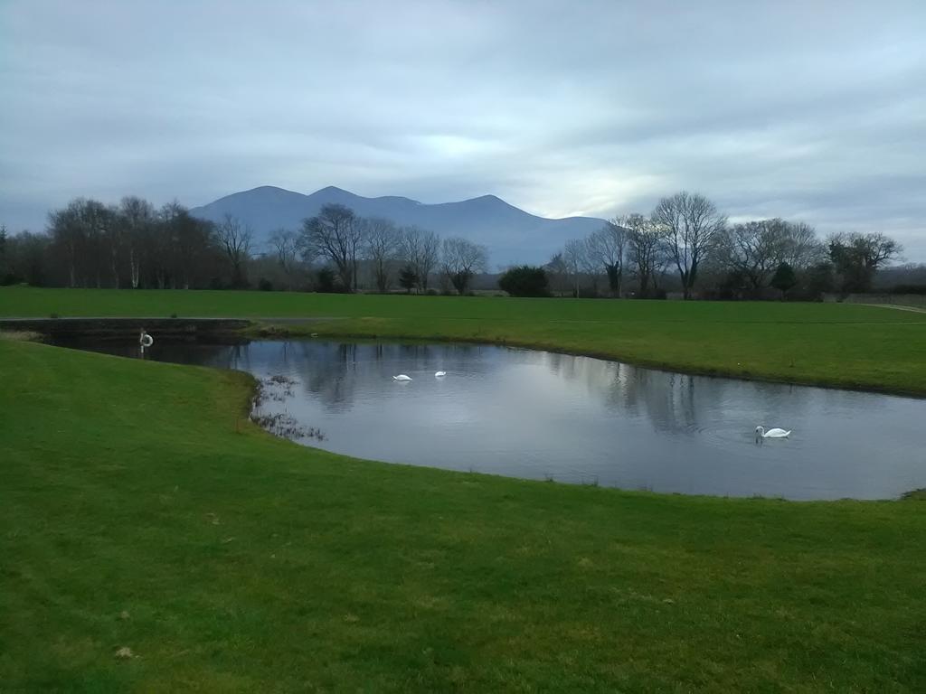 Larkfield House B&B, Ballycasheen Kerry V93 Wd51 Killarney Extérieur photo