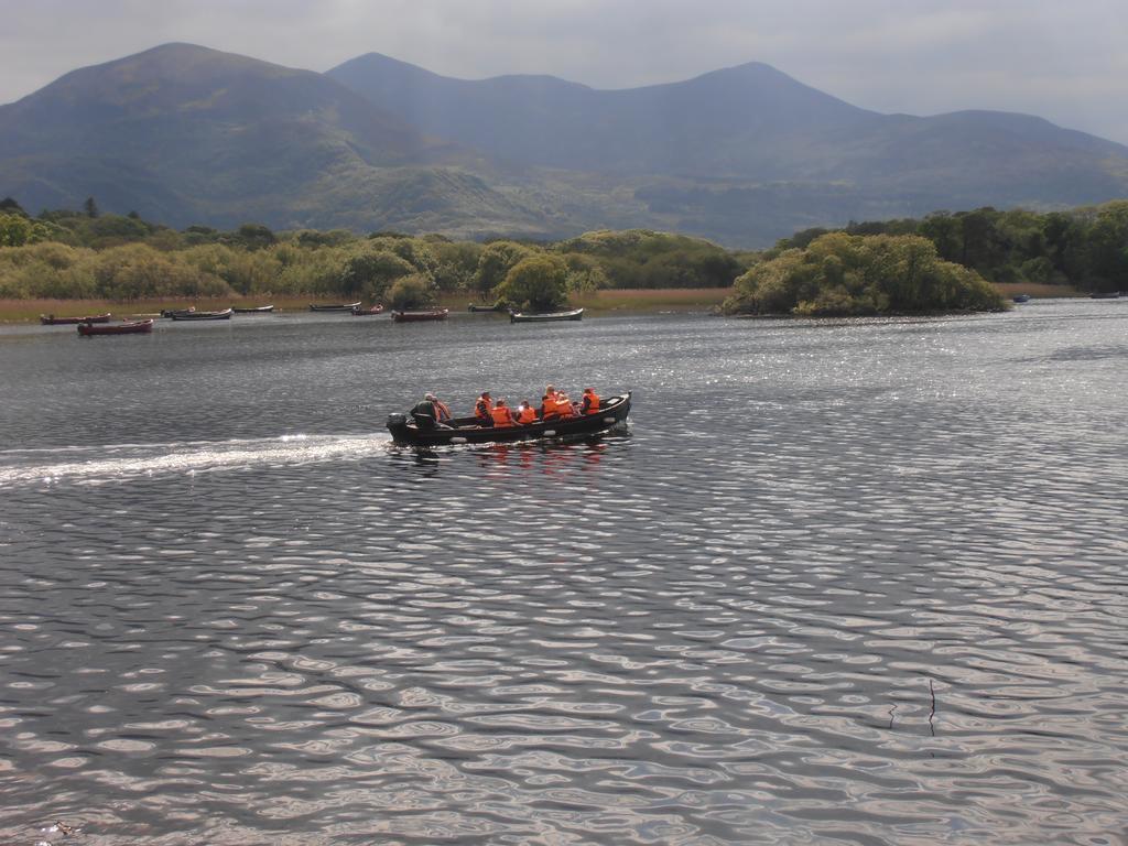 Larkfield House B&B, Ballycasheen Kerry V93 Wd51 Killarney Extérieur photo