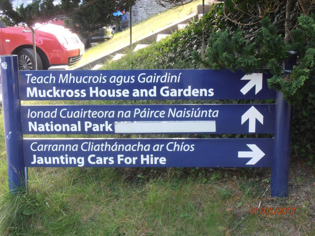 Larkfield House B&B, Ballycasheen Kerry V93 Wd51 Killarney Extérieur photo