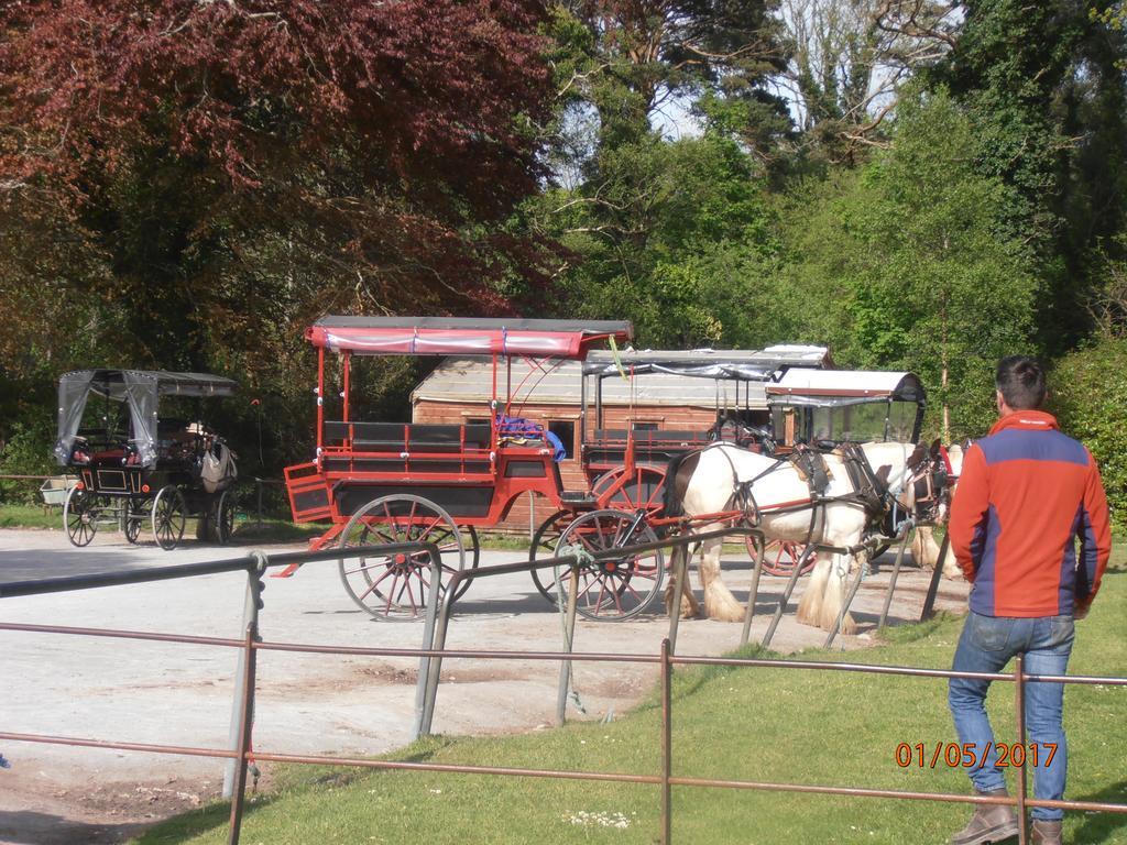 Larkfield House B&B, Ballycasheen Kerry V93 Wd51 Killarney Extérieur photo