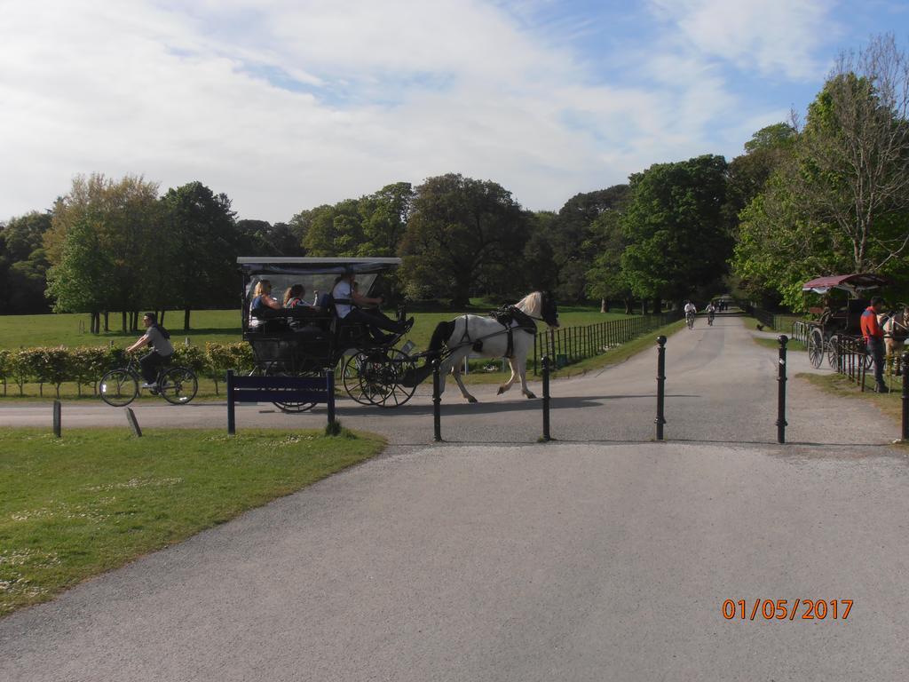 Larkfield House B&B, Ballycasheen Kerry V93 Wd51 Killarney Extérieur photo