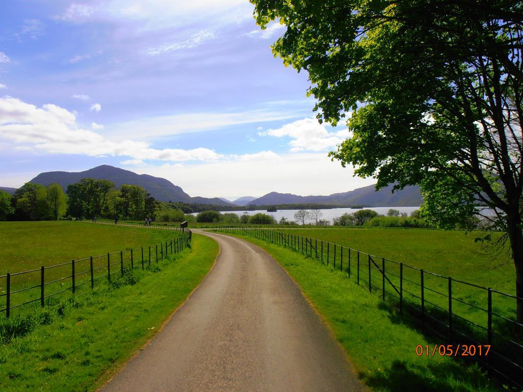 Larkfield House B&B, Ballycasheen Kerry V93 Wd51 Killarney Extérieur photo