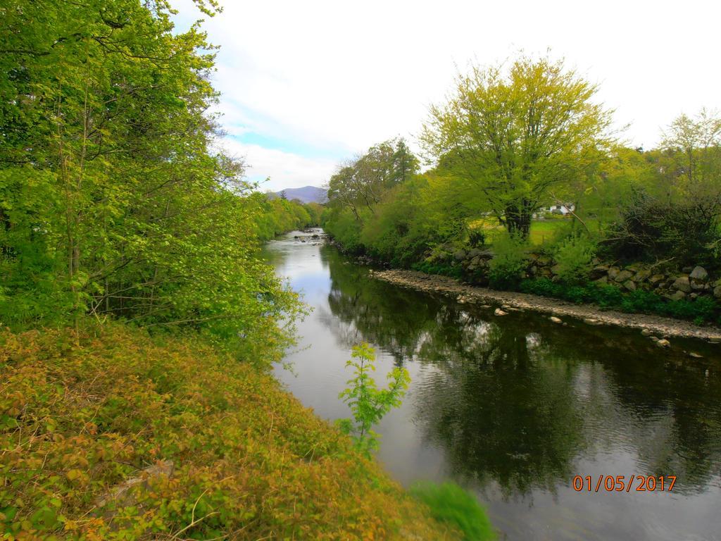 Larkfield House B&B, Ballycasheen Kerry V93 Wd51 Killarney Extérieur photo