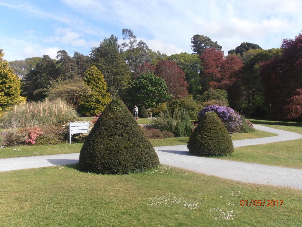 Larkfield House B&B, Ballycasheen Kerry V93 Wd51 Killarney Extérieur photo