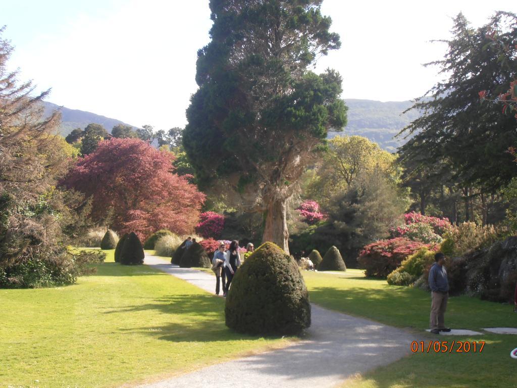 Larkfield House B&B, Ballycasheen Kerry V93 Wd51 Killarney Extérieur photo
